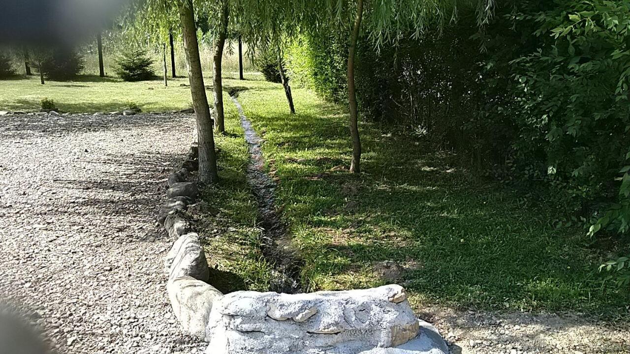 Pensiunea Maya Sîmbăta de Sus Eksteriør billede