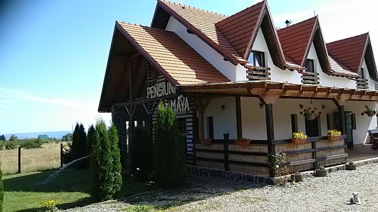 Pensiunea Maya Sîmbăta de Sus Eksteriør billede