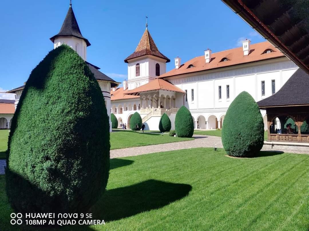 Pensiunea Maya Sîmbăta de Sus Eksteriør billede