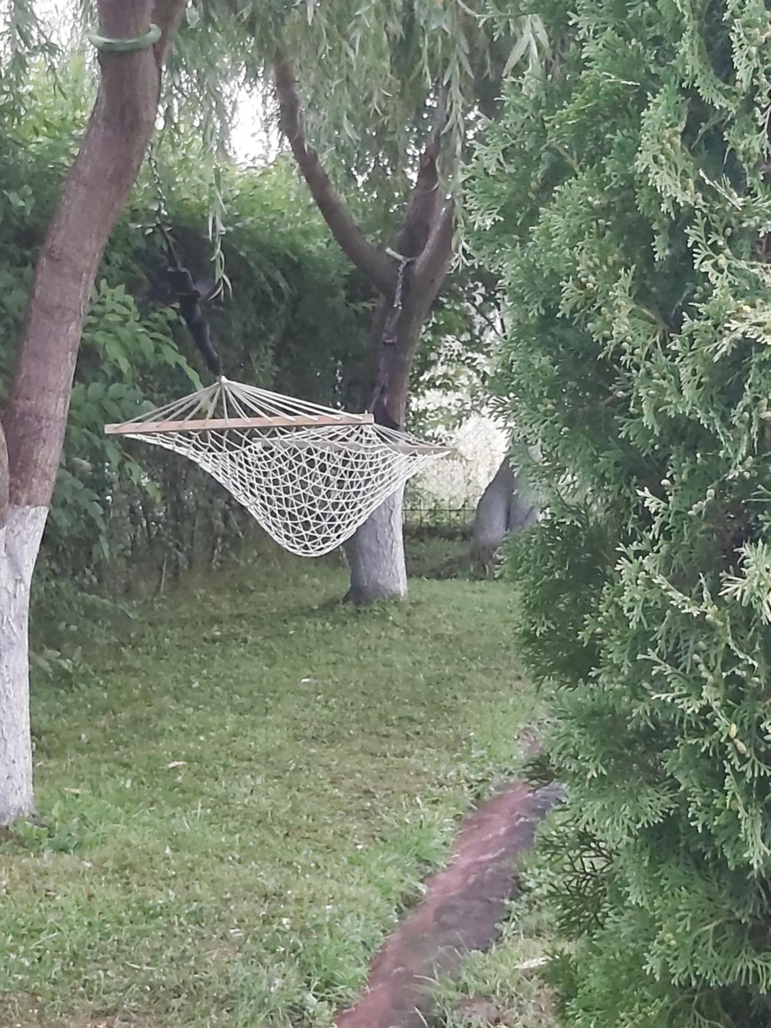 Pensiunea Maya Sîmbăta de Sus Eksteriør billede