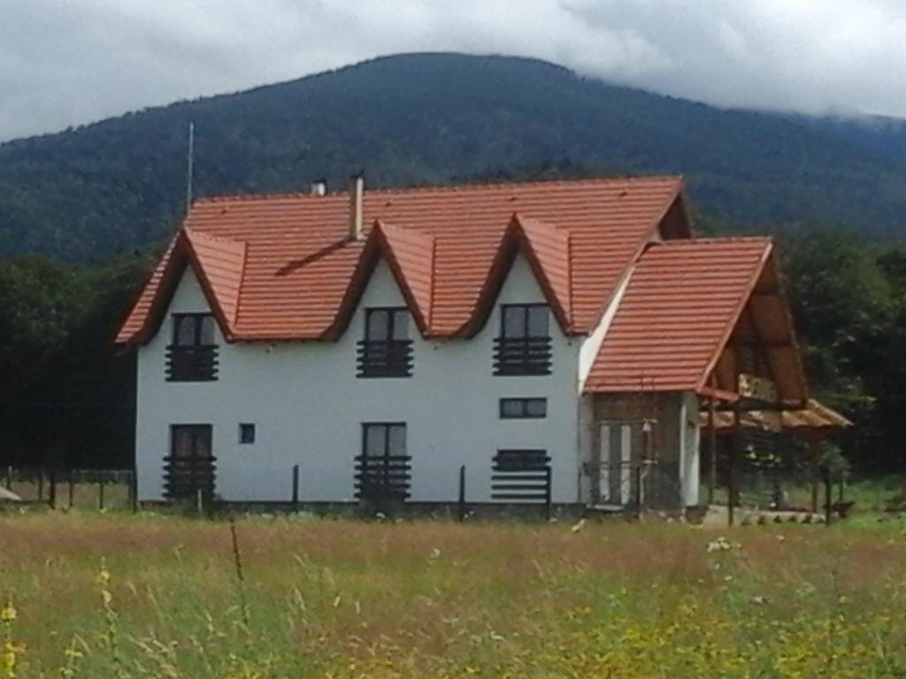 Pensiunea Maya Sîmbăta de Sus Eksteriør billede